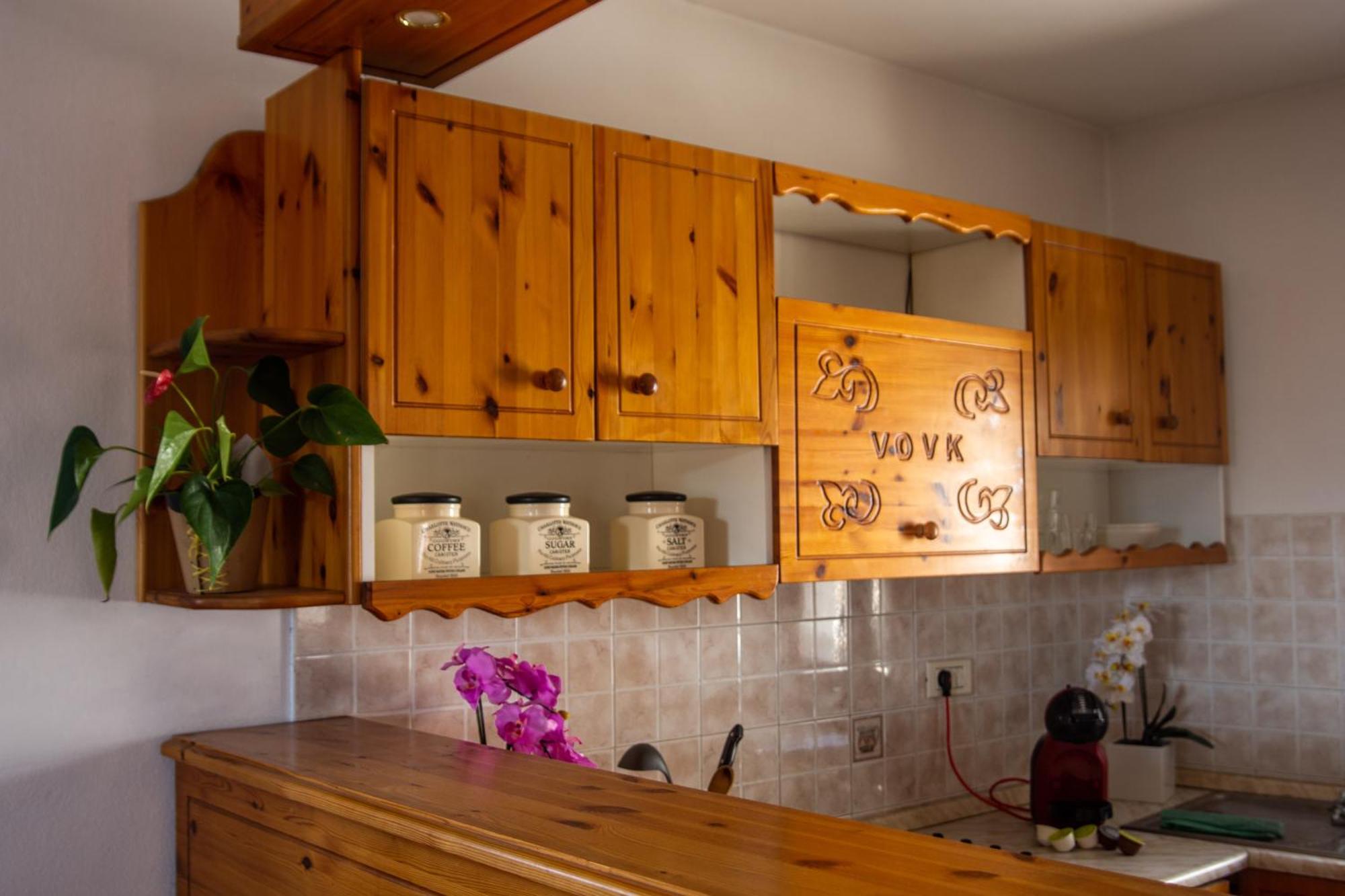 Apartma Na Skdnu Dutovlje エクステリア 写真